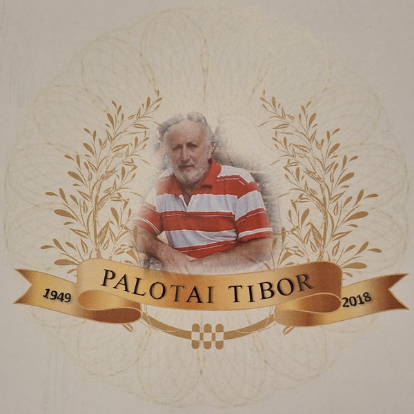 VII. Palotai Tibor Emlékverseny